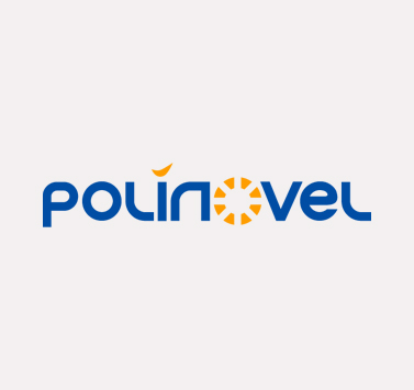 Polinovel New Logo Announcement: A New Logo, A New Brand Identity