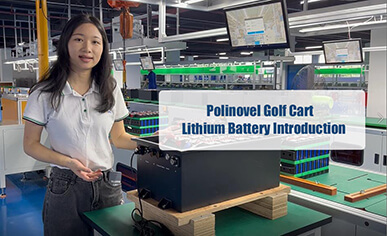 Polinovel Lithium Golf Cart Battery