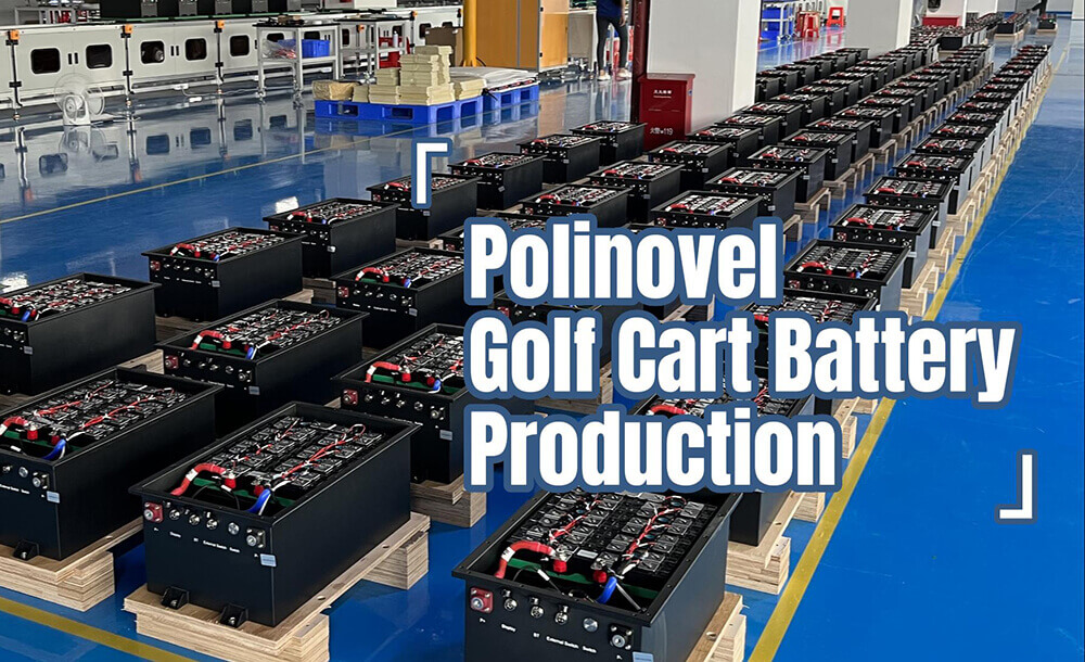 Polinovel Golf Cart Battery Production 