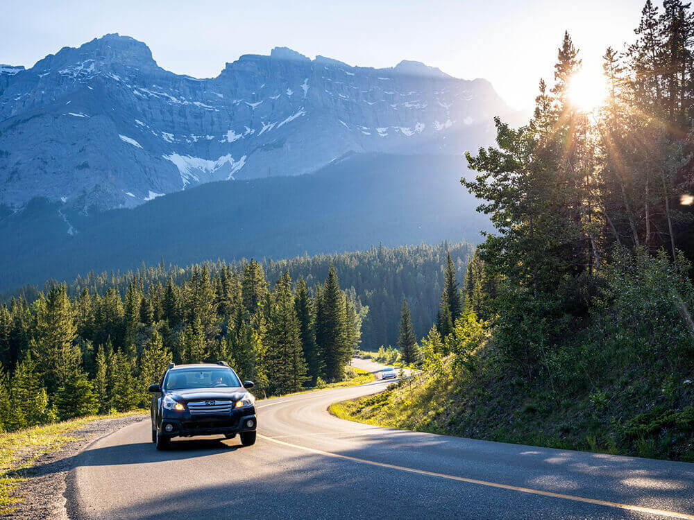 polinovel-dual-purpose-battery-for-starting-cars