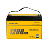 12V 100Ah Dual Purpose Lithium Battery DUAL12100
