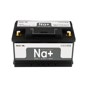 12V 100Ah Sodium ion Cranking Battery